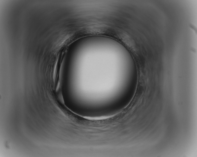 X0000097860021200803141248