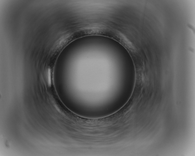 X0000097860022200803141248