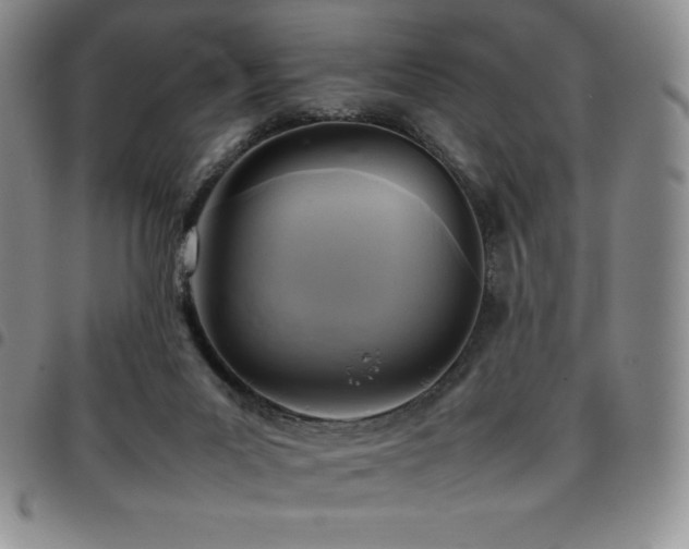 X0000097860023200803141248