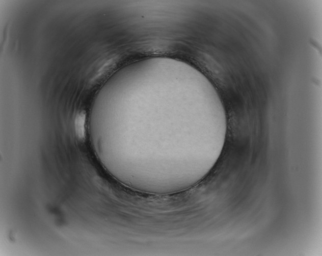 X0000097860024200803141248