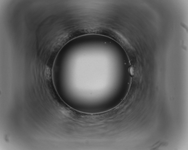 X0000097860025200803141248