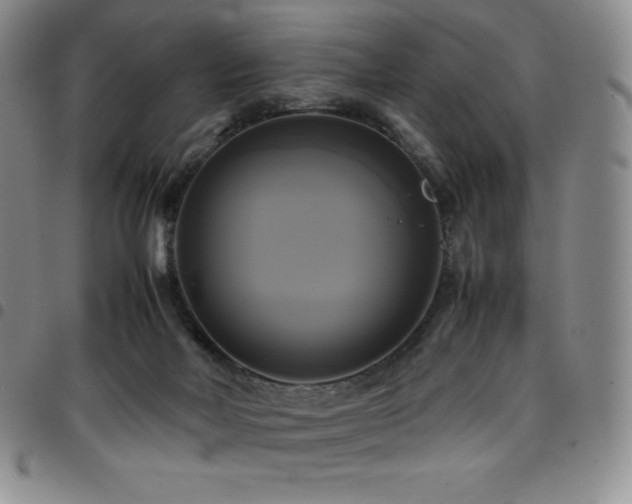 X0000097860026200803141248