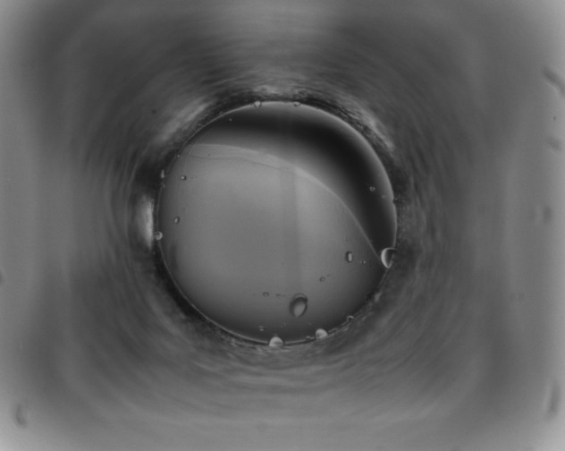 X0000097860027200803141248