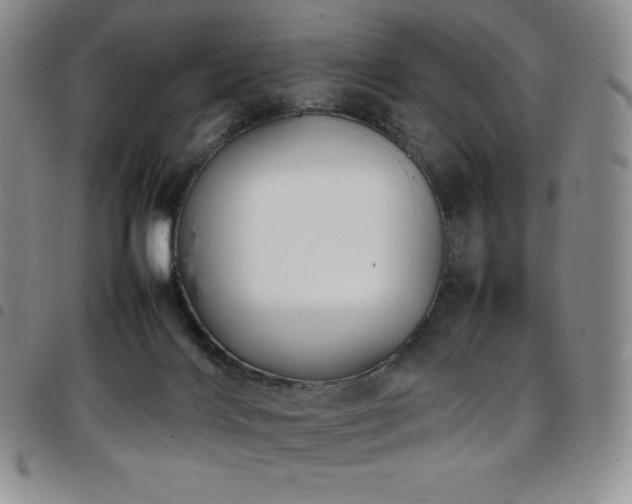 X0000097860028200803141248