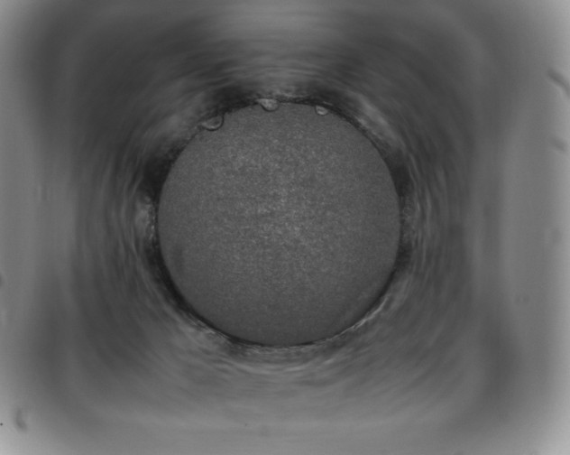 X0000097860029200803141248