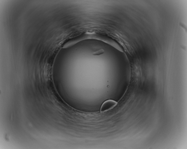 X0000097860030200803141248