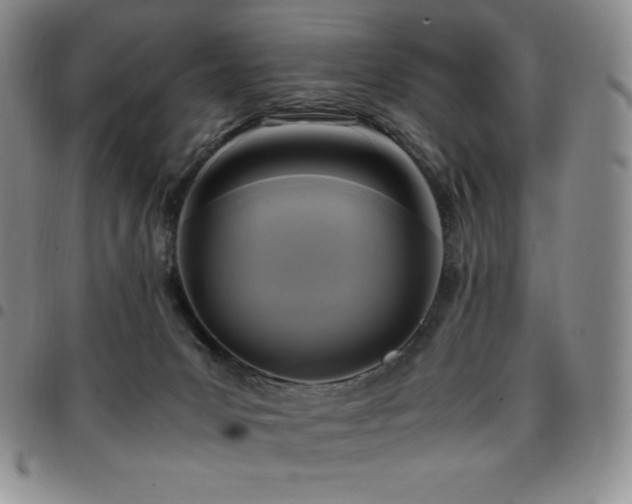 X0000097860031200803141248