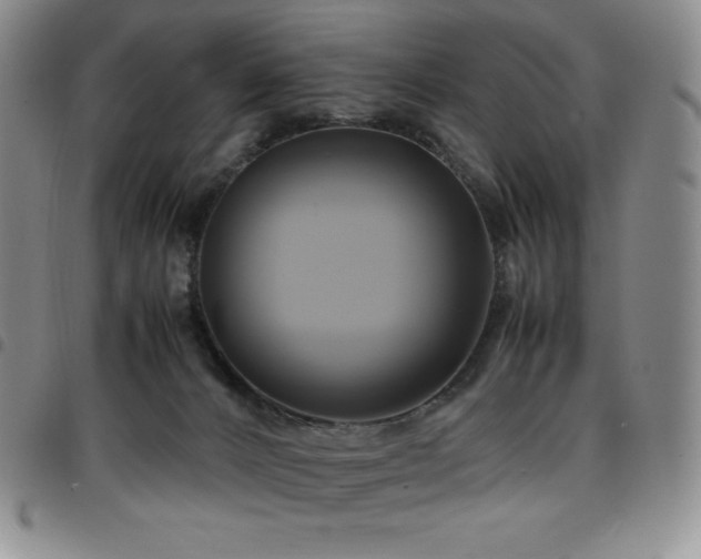 X0000097860032200803141248