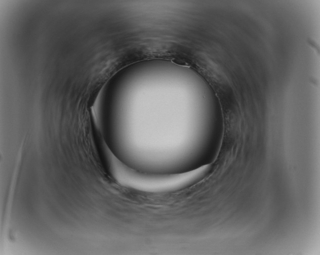 X0000097860033200803141248