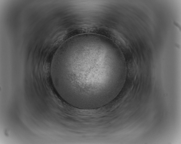 X0000097860034200803141248