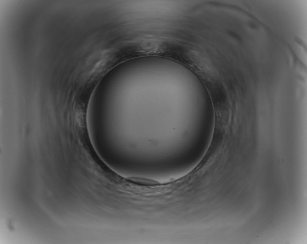 X0000097860035200803141248