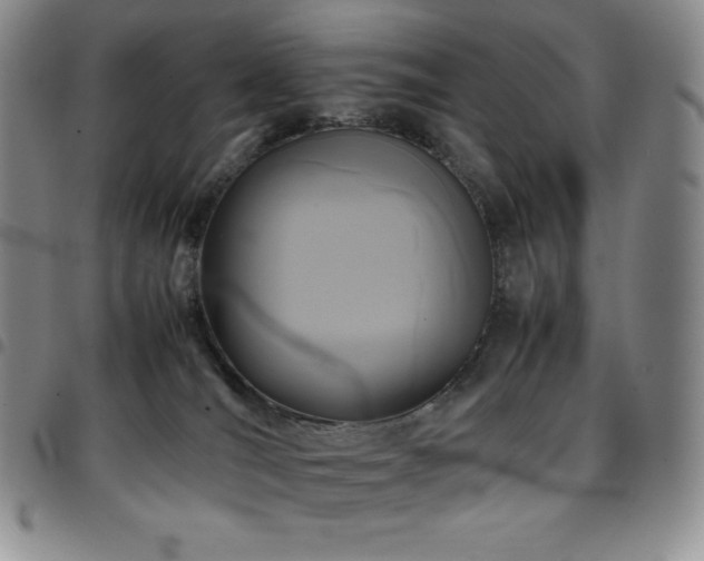 X0000097860036200803141248