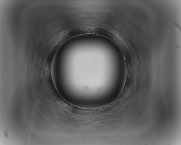 X0000097860037200803141248