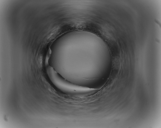 X0000097860039200803141248