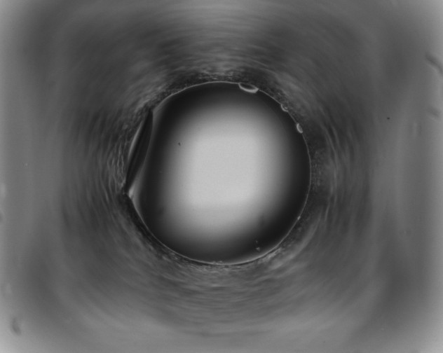 X0000097860040200803141248