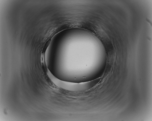 X0000097860041200803141248