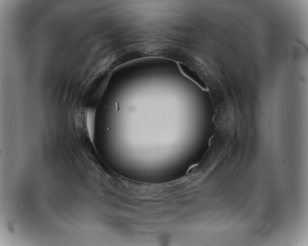 X0000097860044200803141248