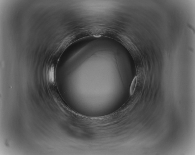 X0000097860046200803141248