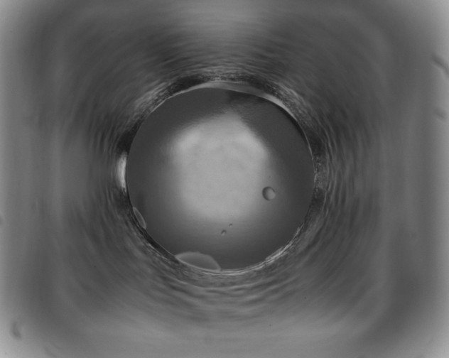 X0000097860047200803141248