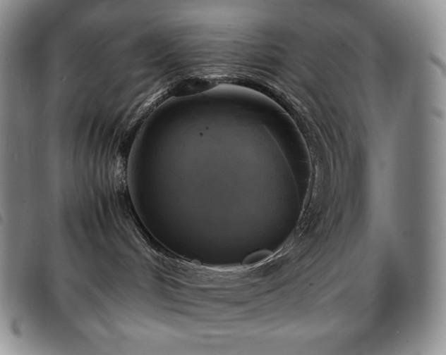 X0000097860048200803141248