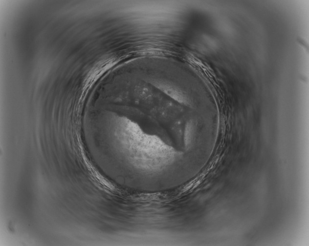 X0000097860049200803141247