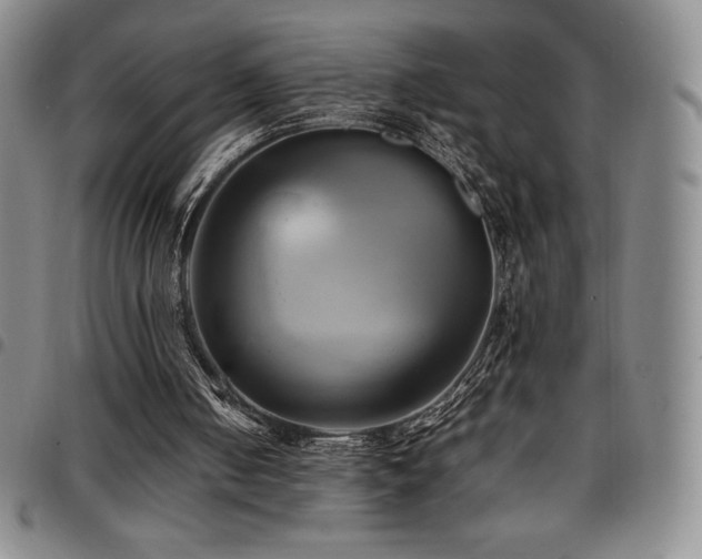 X0000097860050200803141247