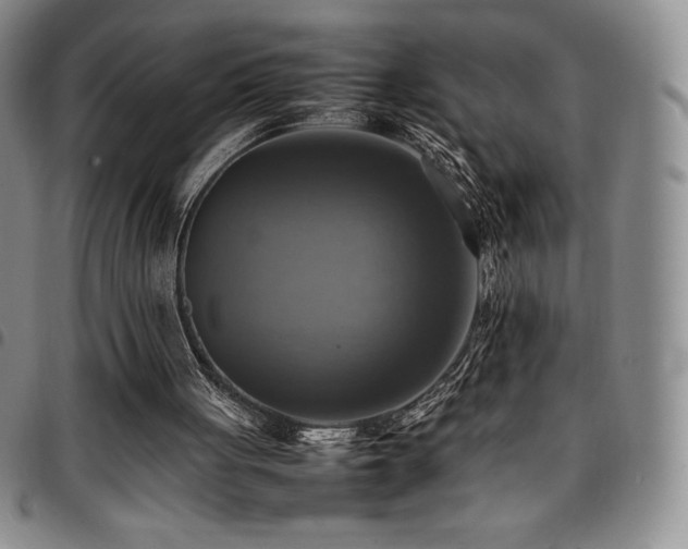 X0000097860051200803141247