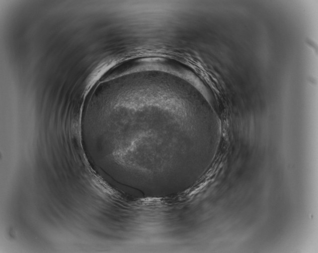 X0000097860052200803141247