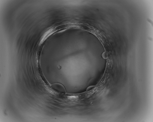 X0000097860053200803141247