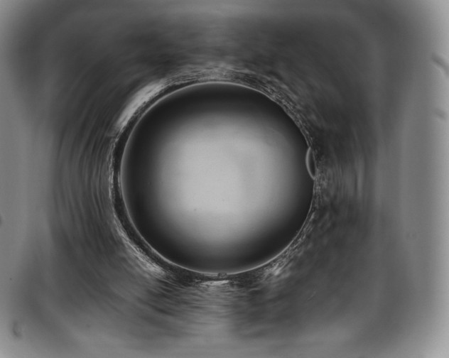 X0000097860054200803141247