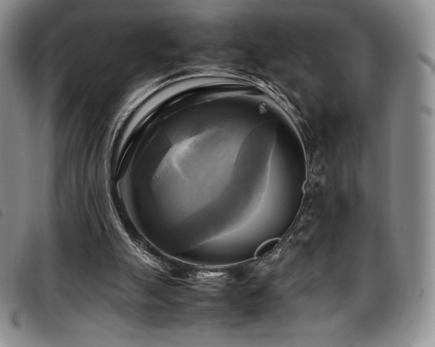 X0000097860055200803141247