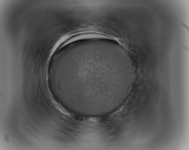 X0000097860056200803141247