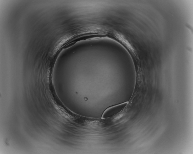 X0000097860058200803141247