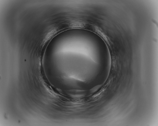 X0000097860059200803141247