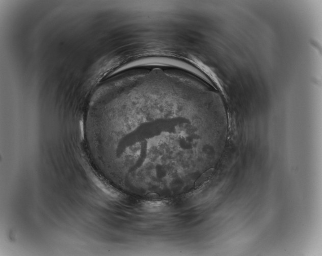 X0000097860061200803141247
