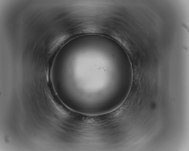 X0000097860062200803141247