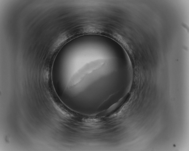 X0000097860063200803141247