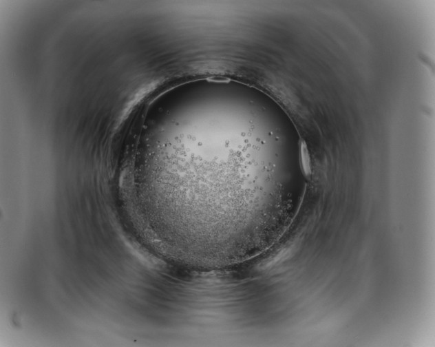X0000097860064200803141247