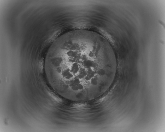 X0000097860065200803141247