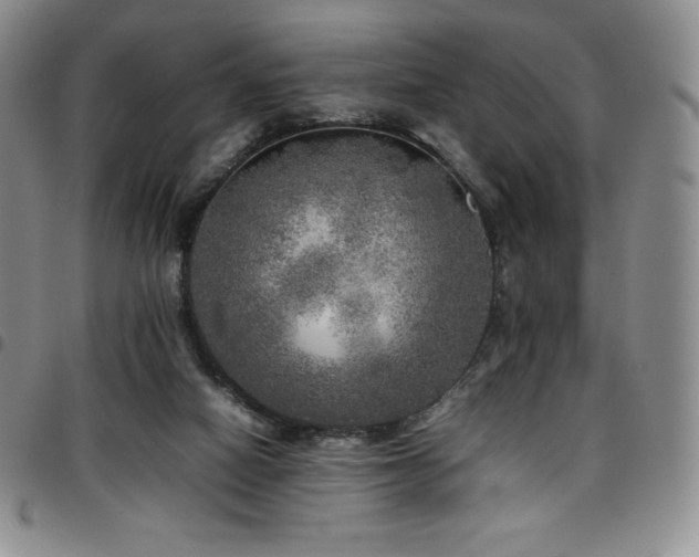 X0000097860066200803141247