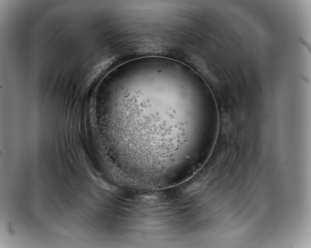 X0000097860068200803141247