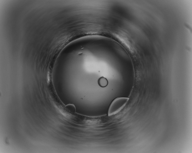 X0000097860069200803141247