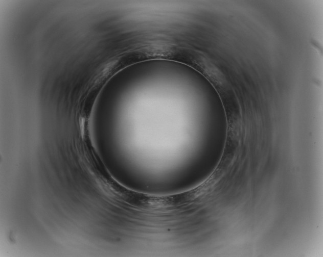 X0000097860070200803141247