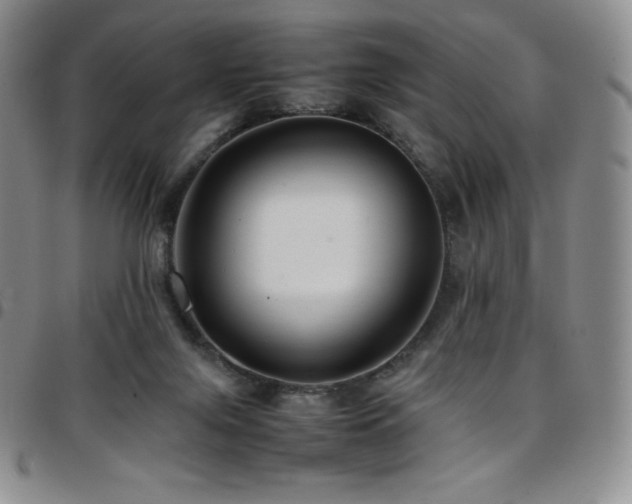 X0000097860071200803141247