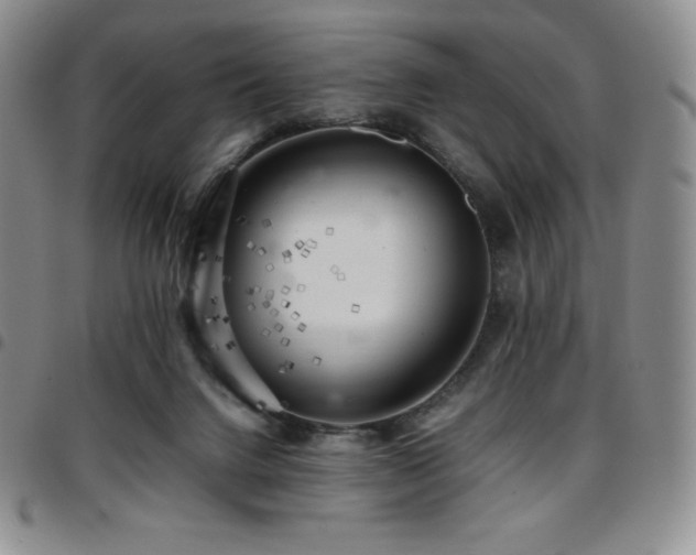 X0000097860072200803141247