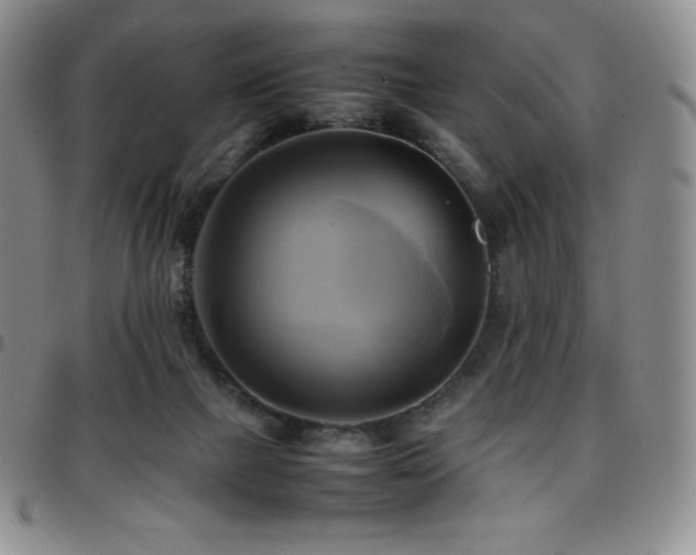 X0000097860073200803141247