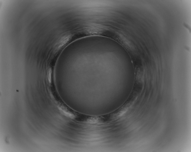 X0000097860076200803141247