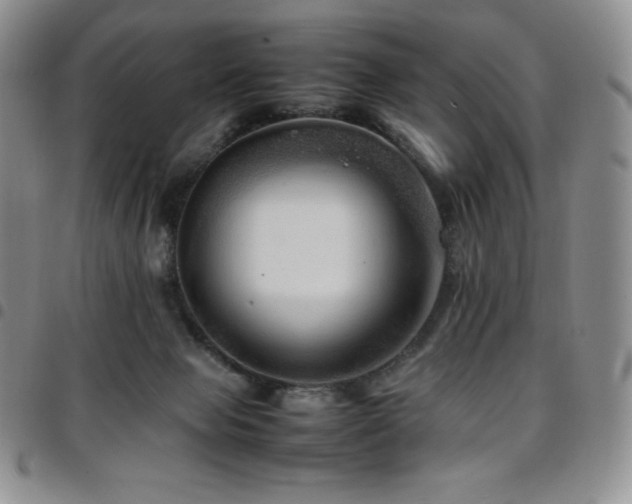 X0000097860077200803141247