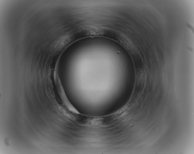 X0000097860078200803141247