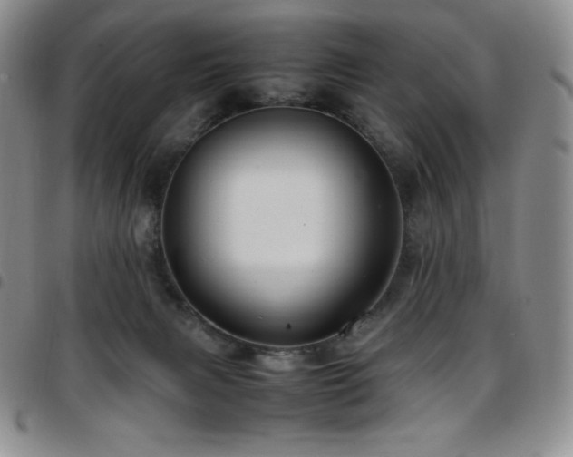 X0000097860079200803141247